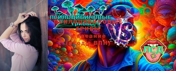 трава Армянск