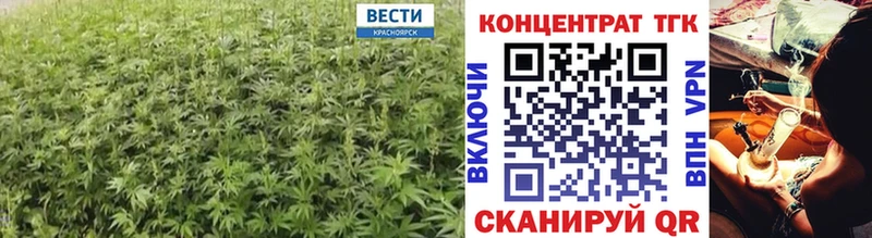 Дистиллят ТГК концентрат  Новоузенск 