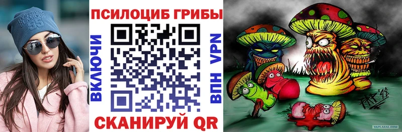 Псилоцибиновые грибы Magic Shrooms  Новоузенск 
